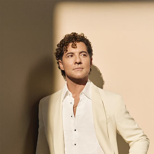 Imagen de David Bisbal