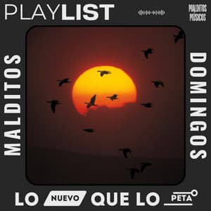 MALDITOS DOMINGOS