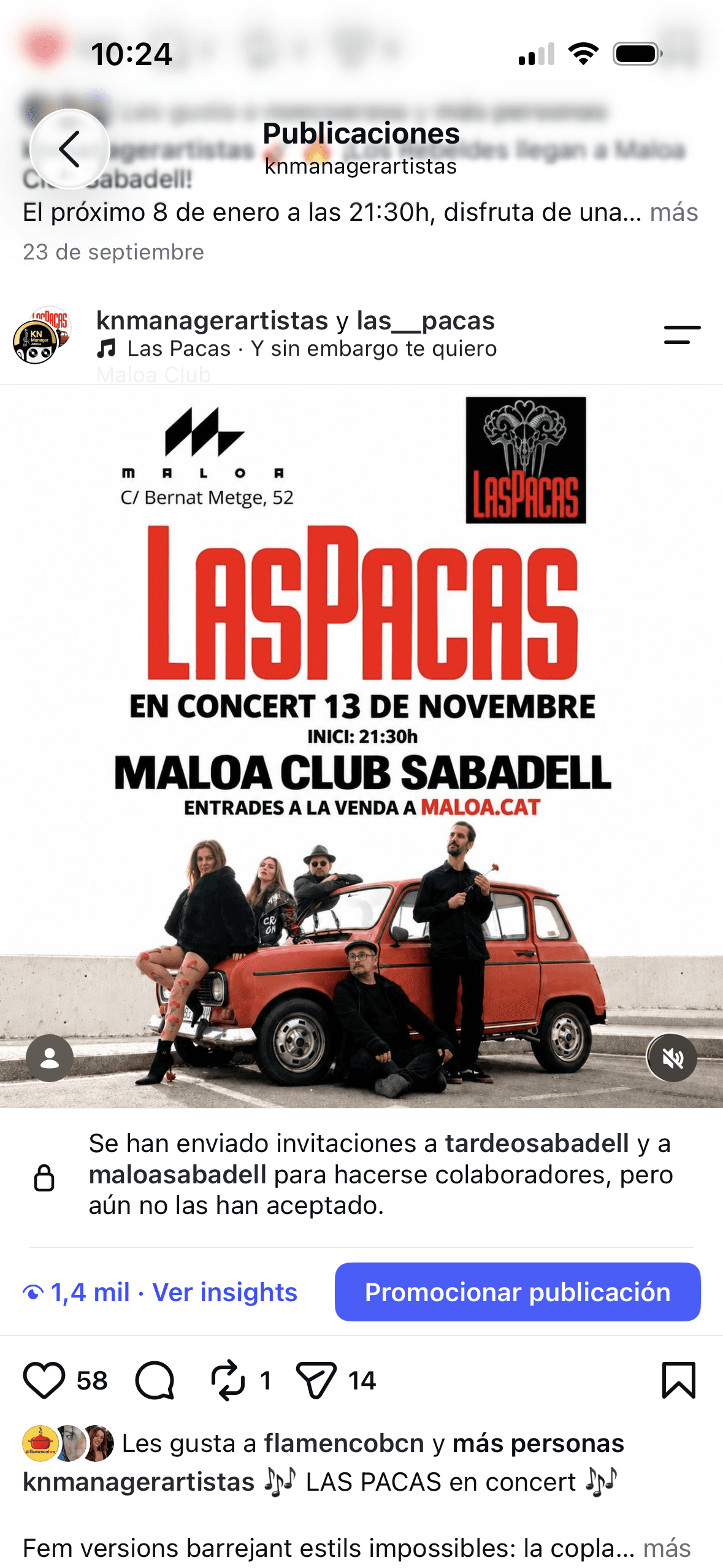 Las Pacas en concierto