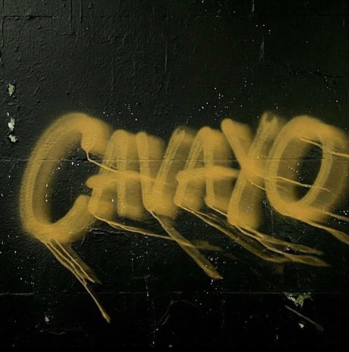 Cavayo