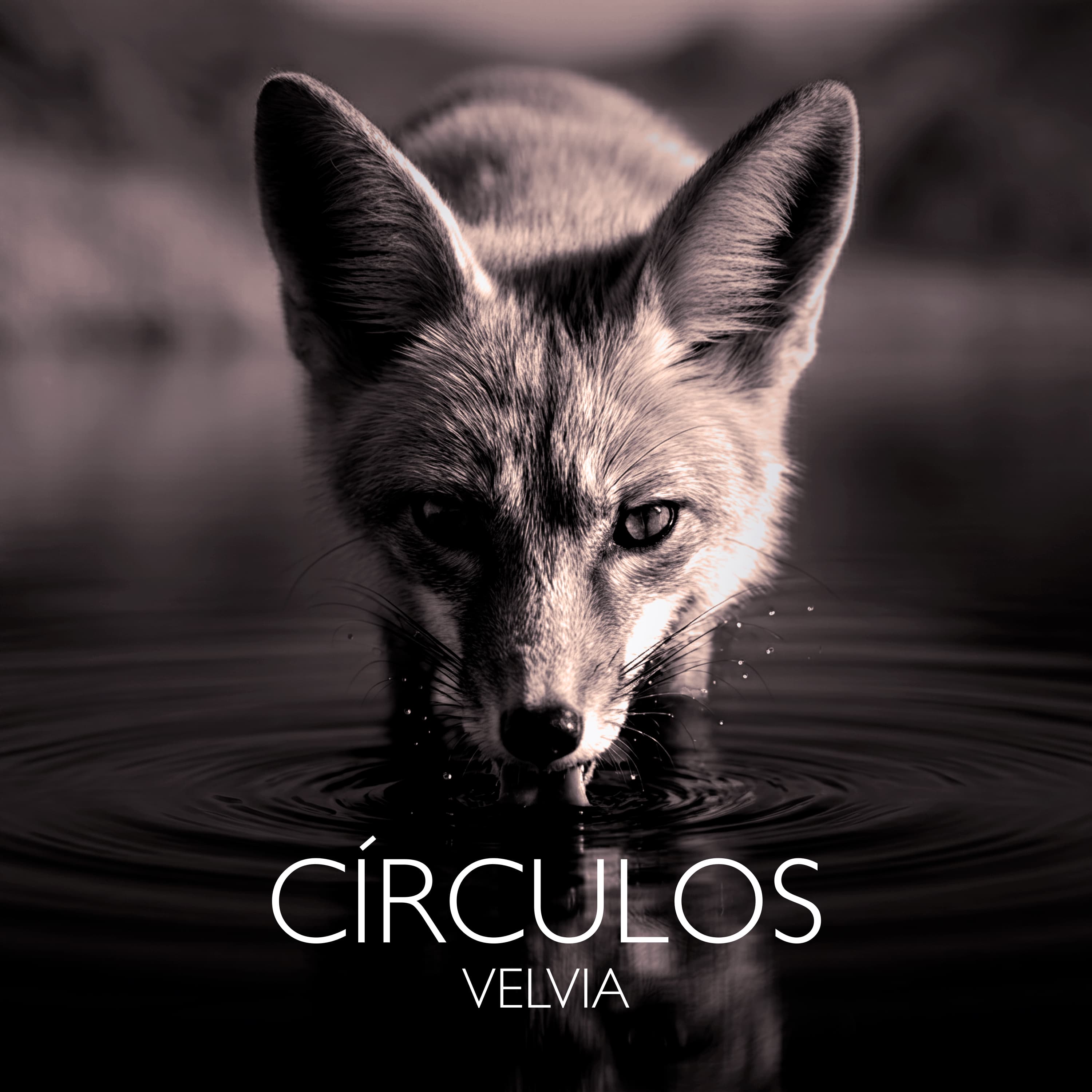 Círculos