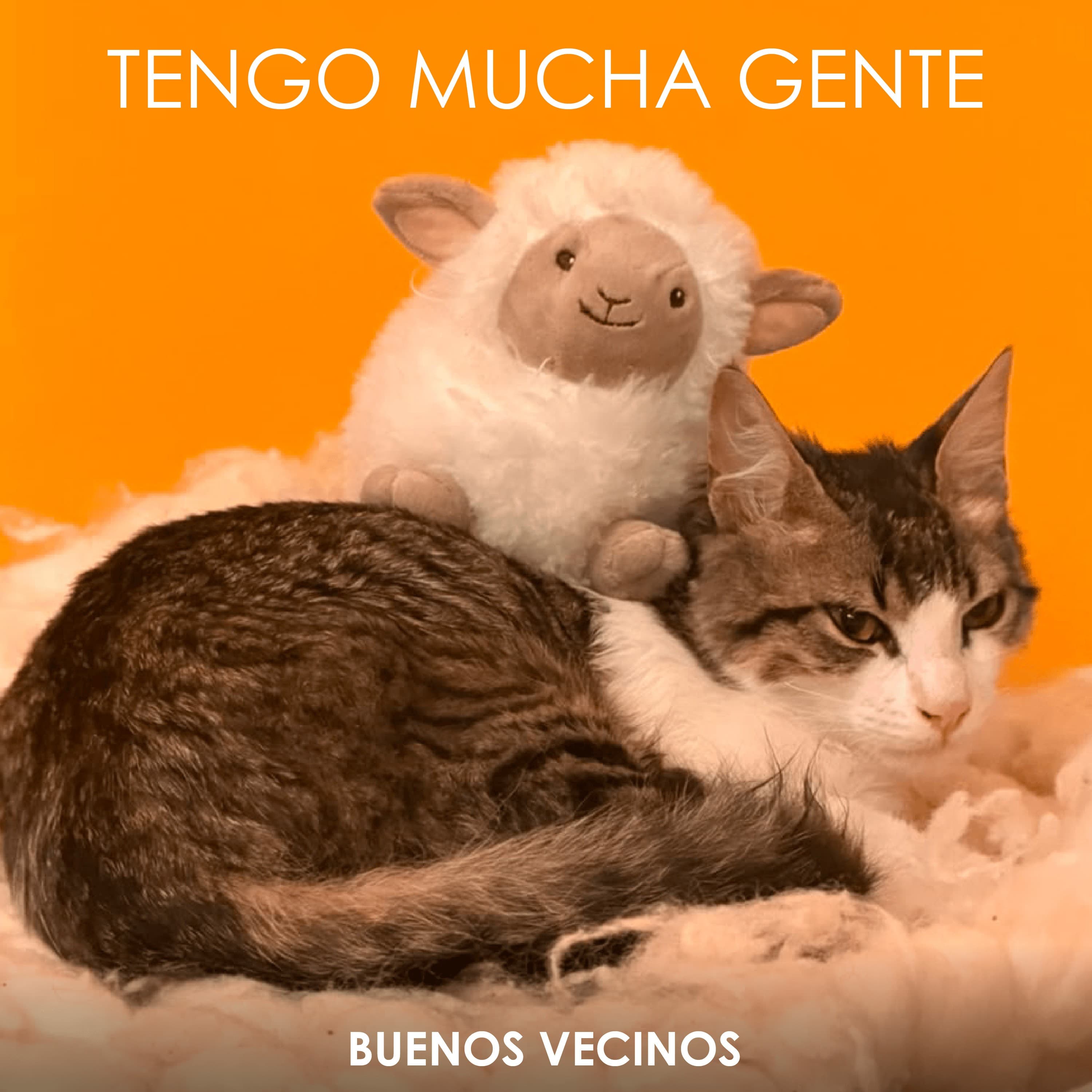 Tengo mucha gente